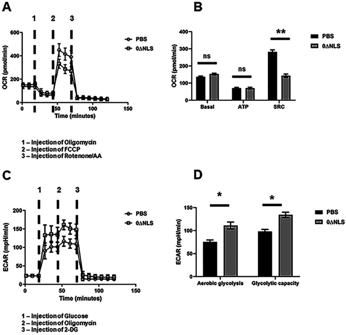 FIG 10