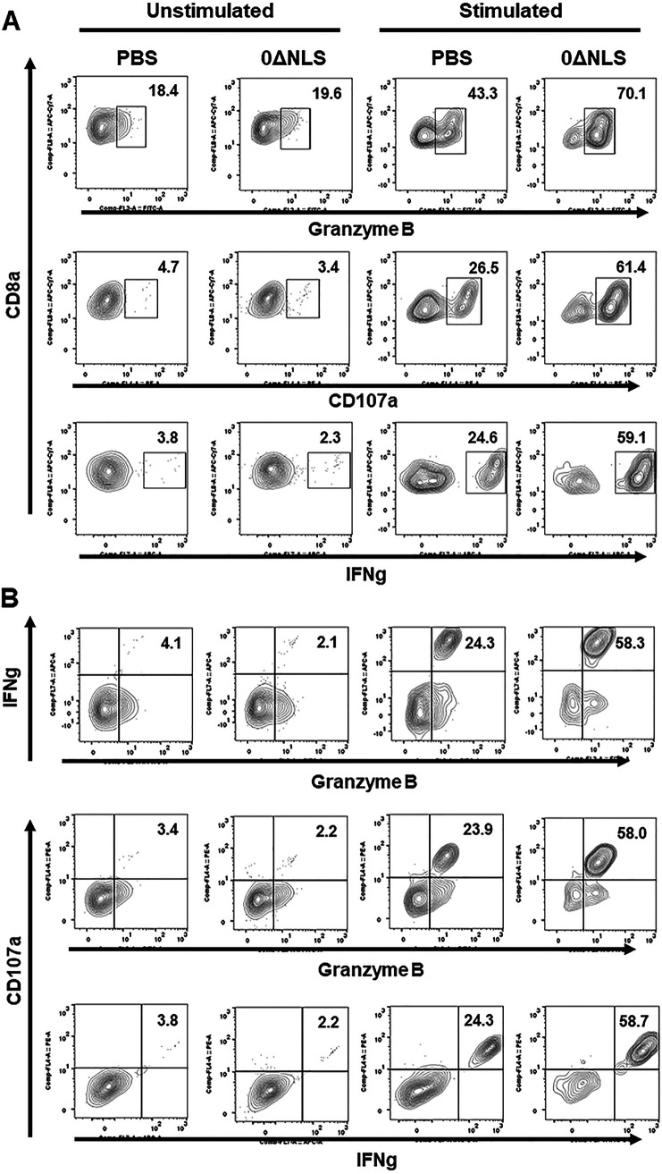 FIG 6