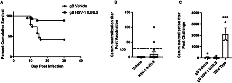 FIG 1