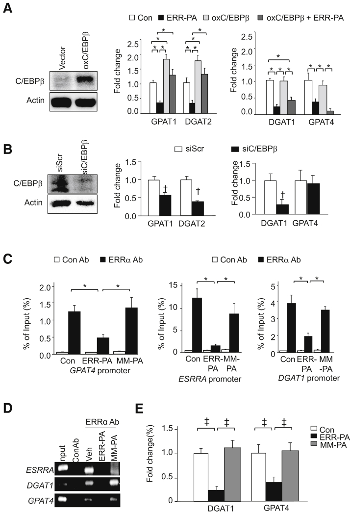 Figure 6