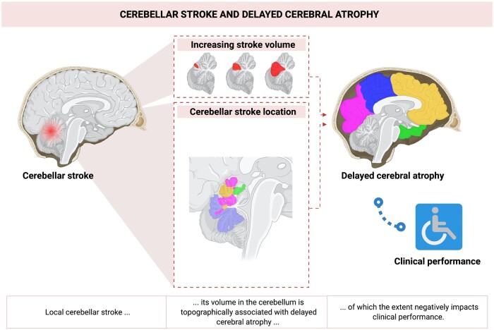 Graphical Abstract