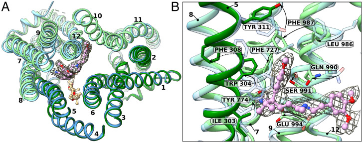 Fig. 3.