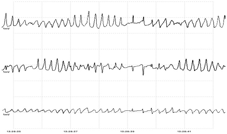 Figure 3.