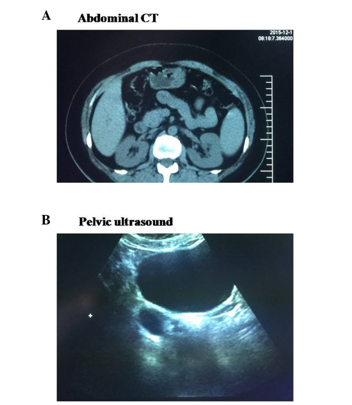 Figure 1.