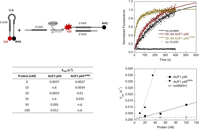 FIG 6