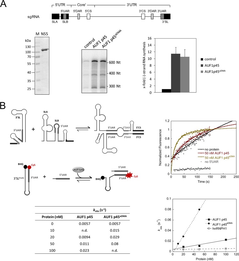 FIG 2