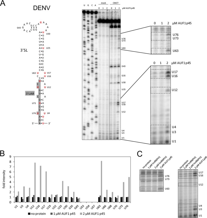 FIG 3