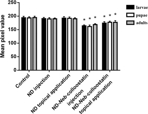 Figure 6