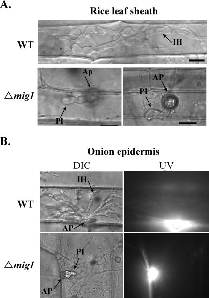 FIG. 4.