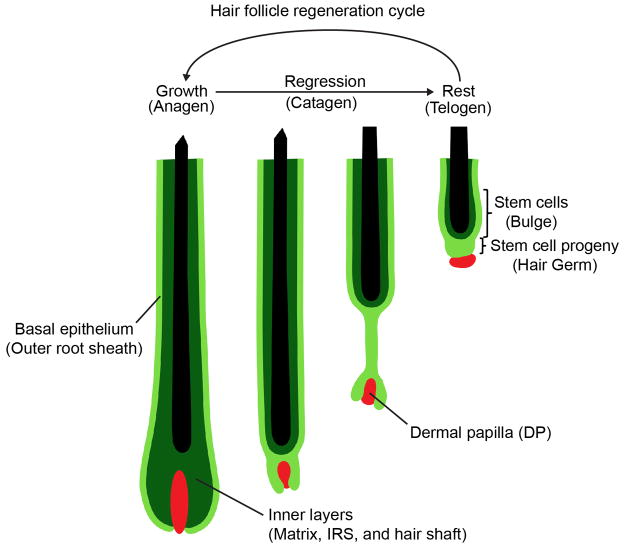 Extended Data Fig. 1