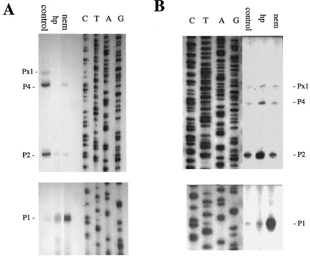 FIG. 4