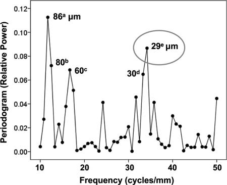 Fig. 5.