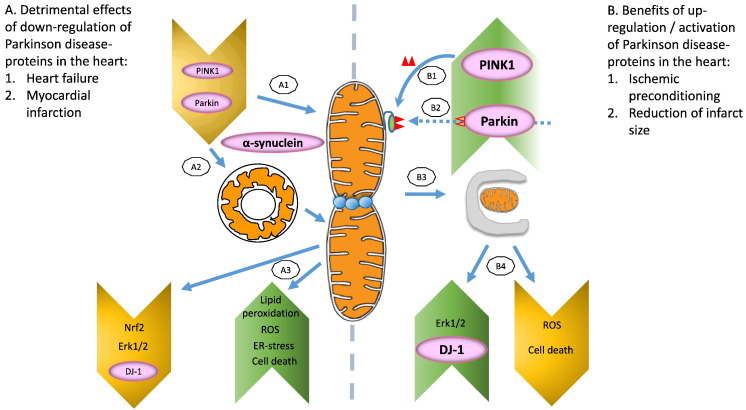 Fig. 2