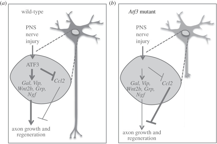 Figure 12.