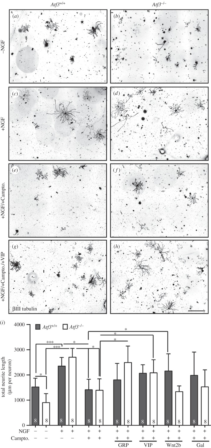 Figure 9.