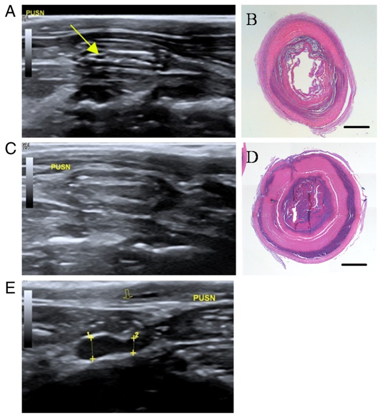 Figure 6.