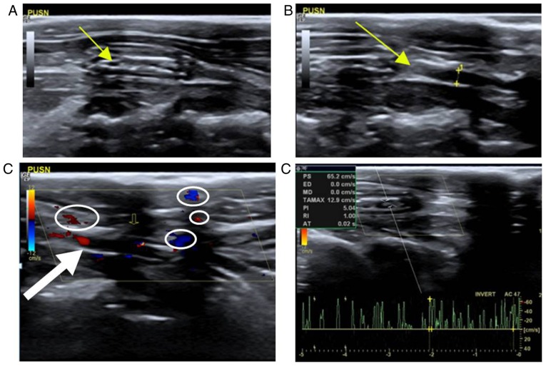 Figure 3.