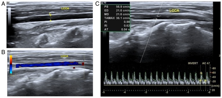 Figure 1.