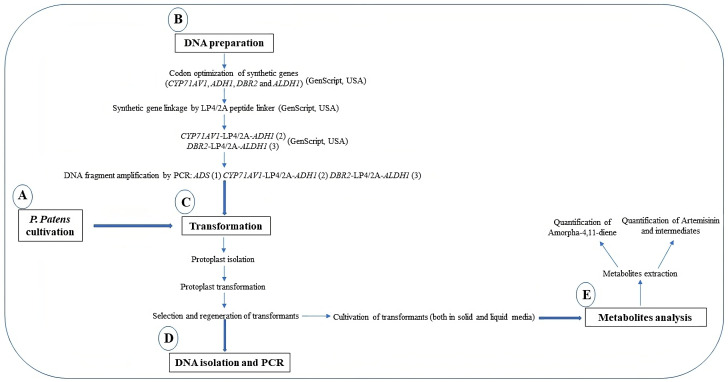 Figure 2.