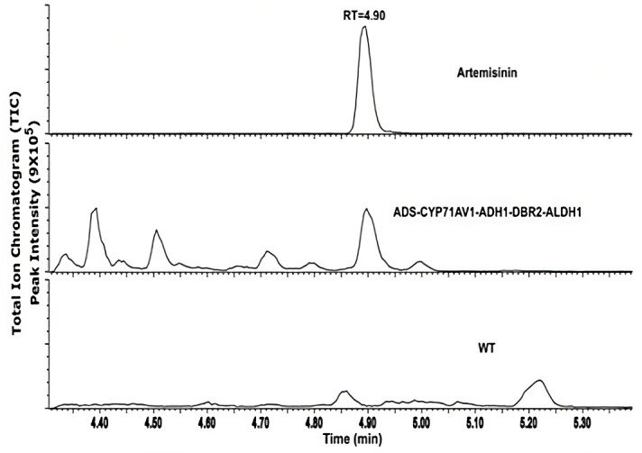 Figure 5.