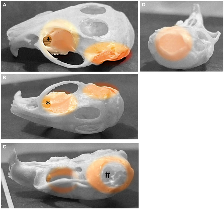 Figure 4