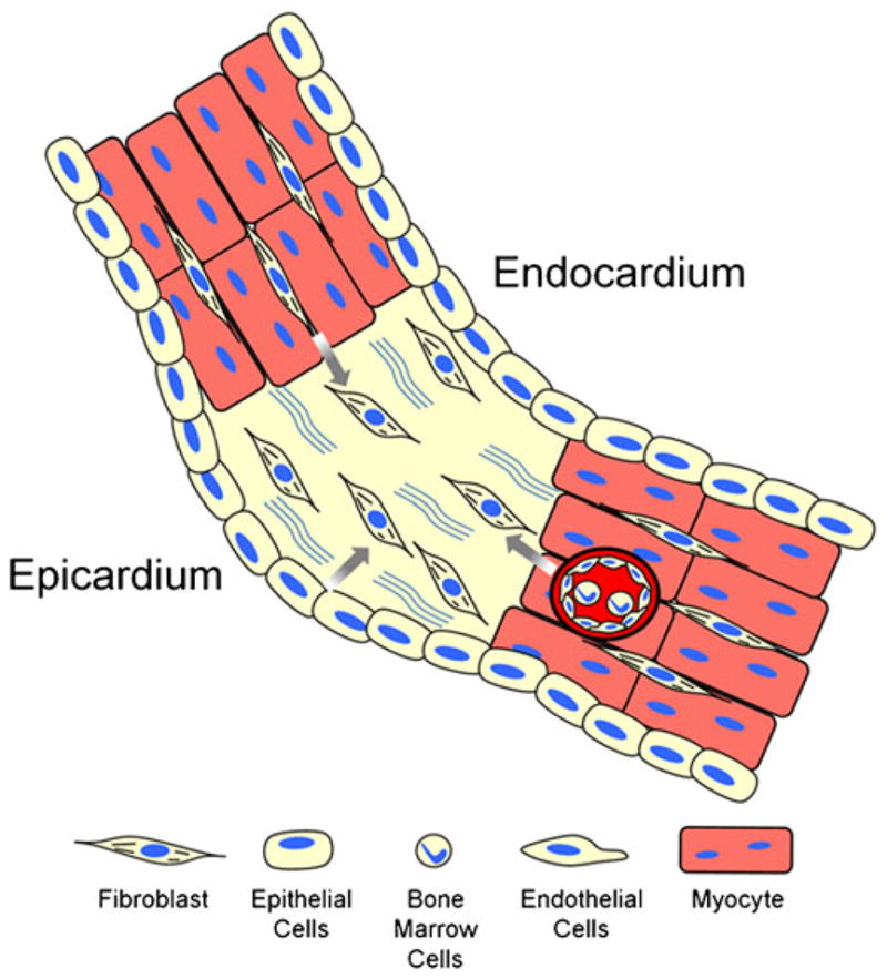 Fig. 2