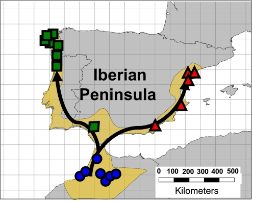 Fig. 1.