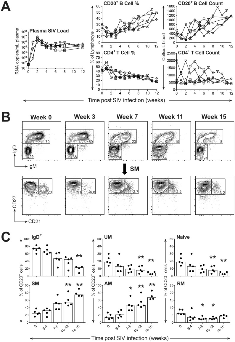 Fig 6