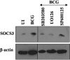 Figure 3<i>H</i>