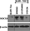 Figure 2<i>D</i>