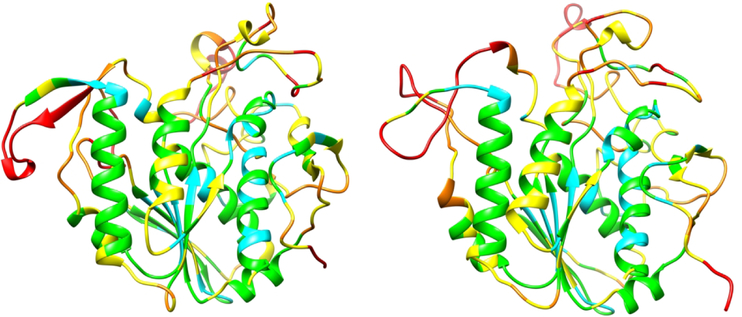 Figure 4: