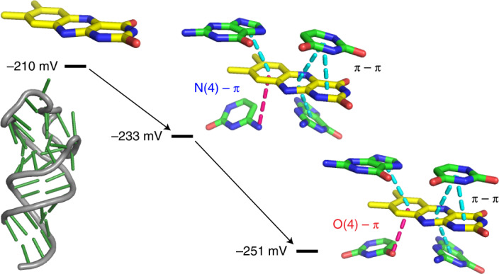 graphic file with name 41589_2022_1121_Figa_HTML.jpg