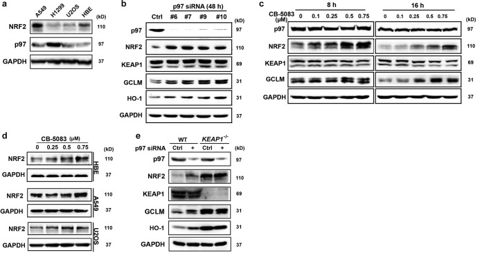 FIG 1