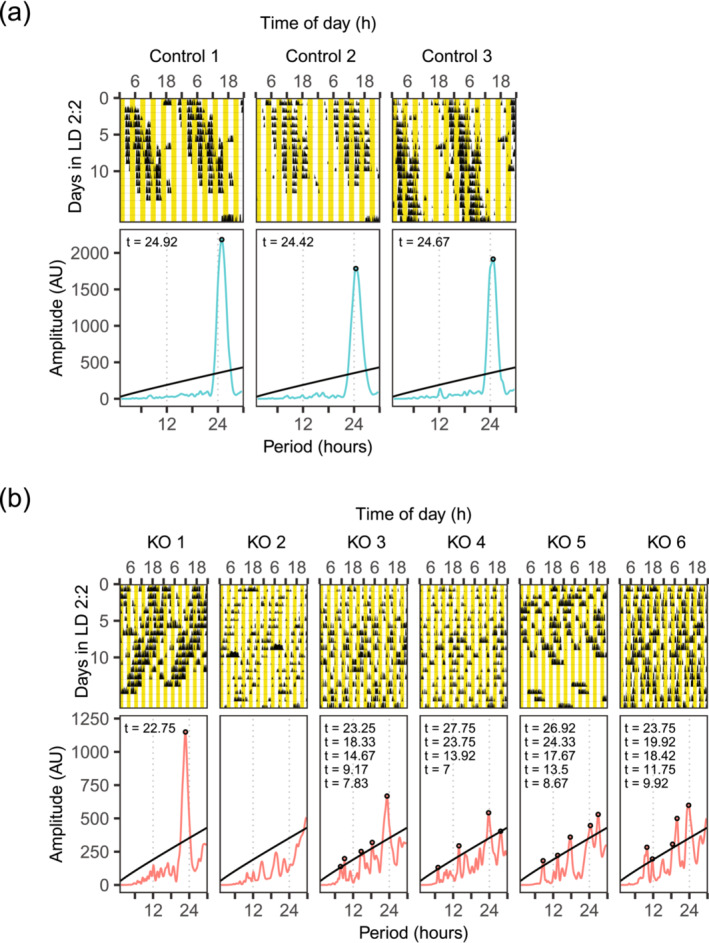 FIGURE 6