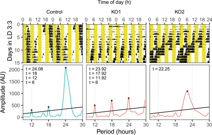 FIGURE 5