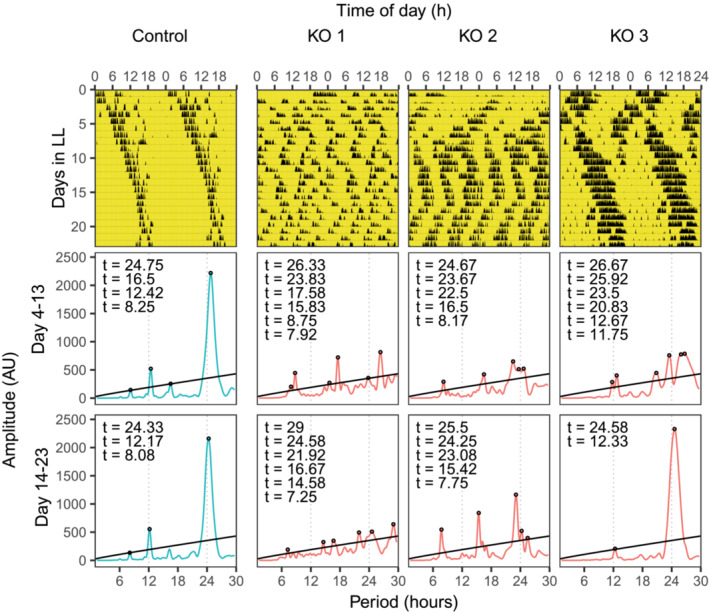 FIGURE 4