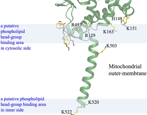 Fig. 4.