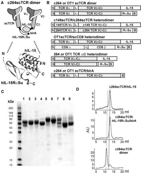 Fig. 1.