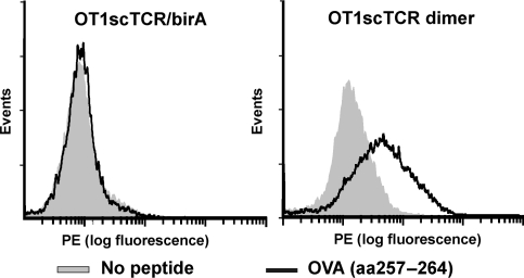 Fig. 3.