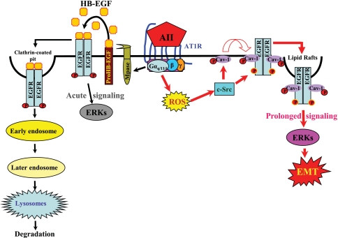 Fig 10