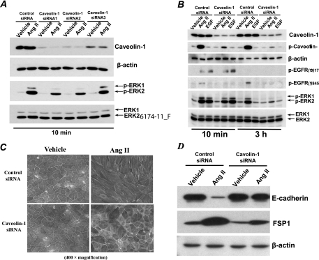 Fig 9