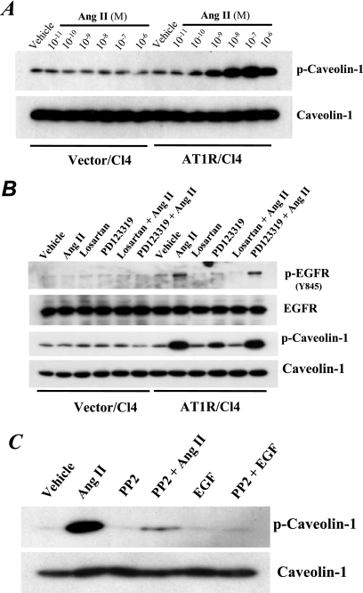 Fig 7