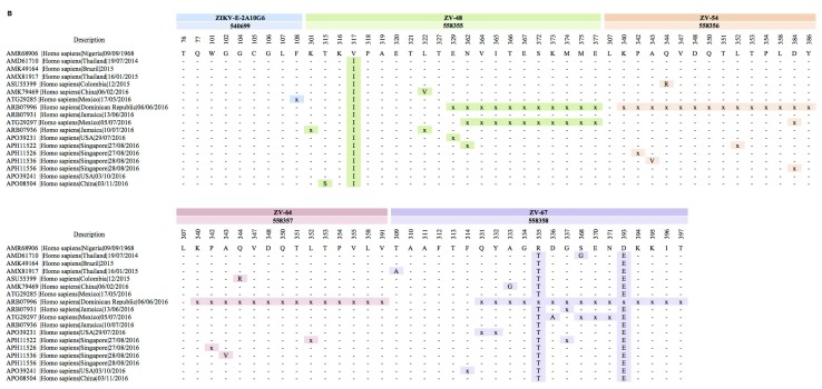 Figure 2B. 