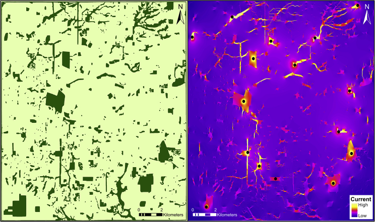 Figure 2