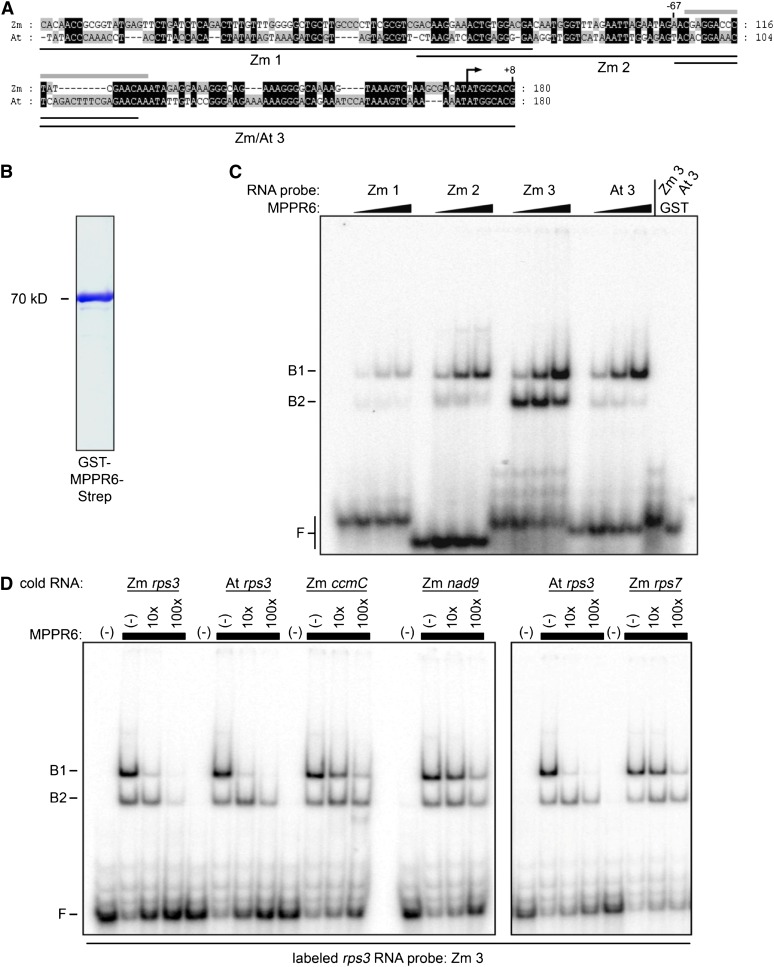 Figure 10.