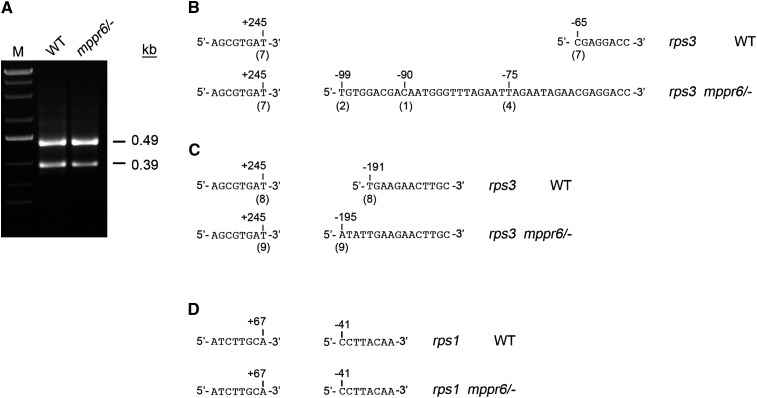 Figure 13.