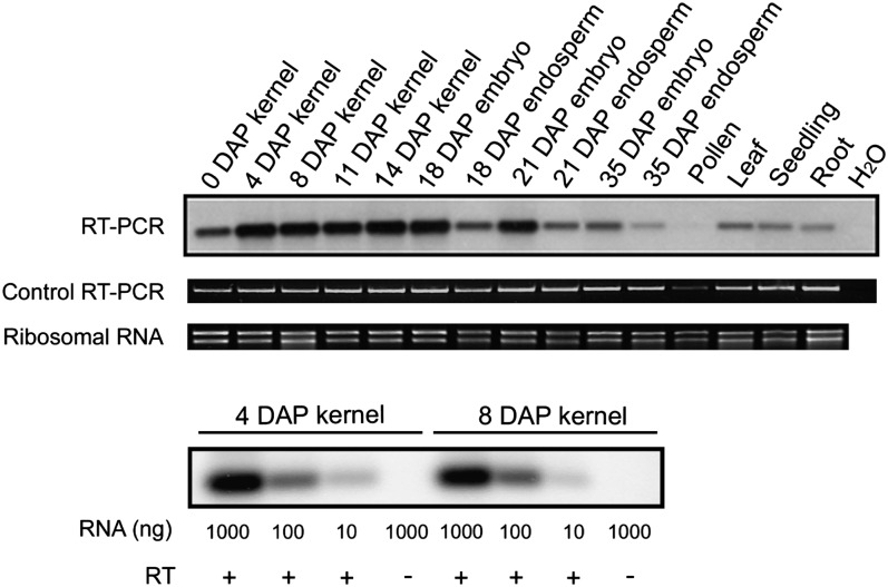 Figure 7.