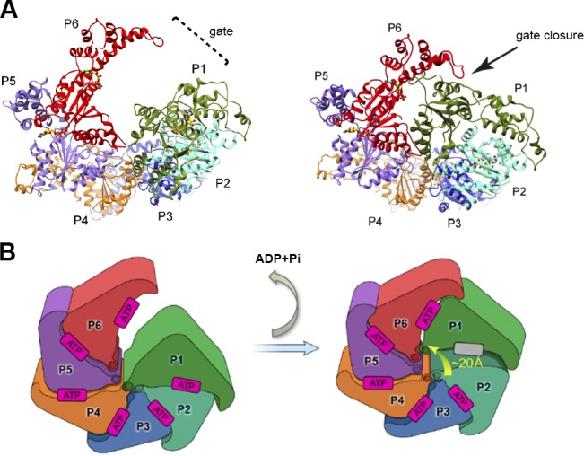 Figure 6.