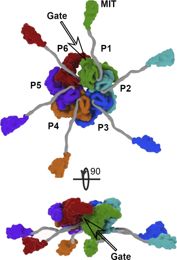 Figure 4.