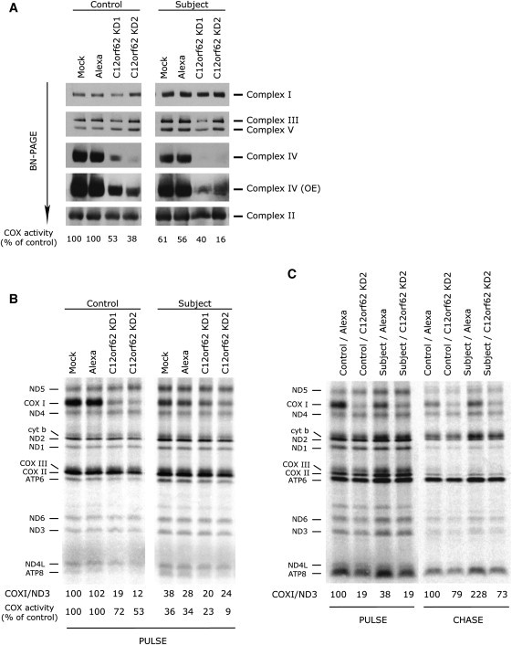 Figure 4